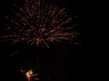 Low angle view of firework display at night