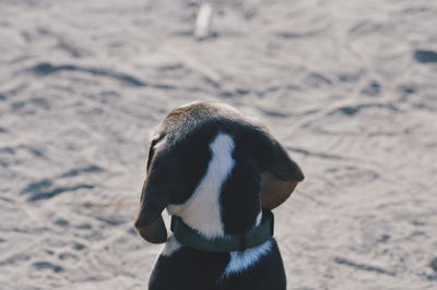Close up of water on beach