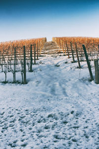 Wooden posts on snow covered field against sky