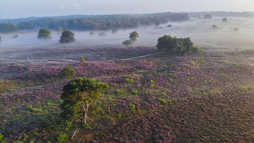 Scenic view of landscape