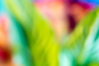 Close-up of multi colored blurred background