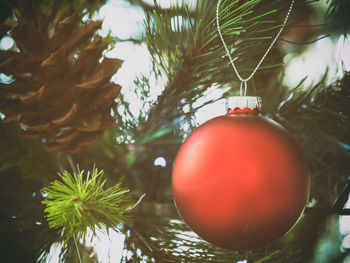 Close-up of christmas decorations hanging on tree