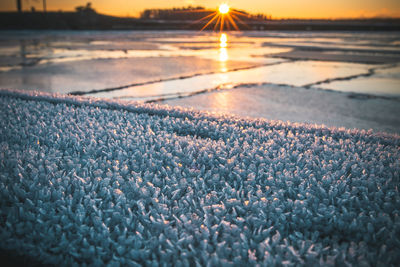 Close-up of frozen water infront of the sun.