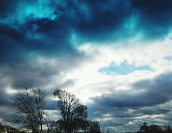 Low angle view of silhouette trees against sky