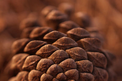 Full frame shot of coffee beans