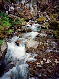 Stream flowing through rocks in forest