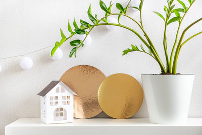 Close-up of potted plant on table