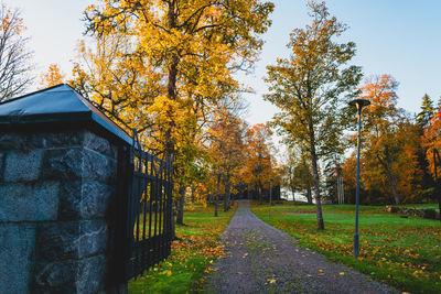 Trees on field