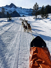 People skiing on snow covered landscape