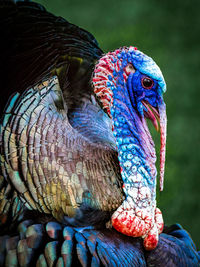 Close up of multi colored wall