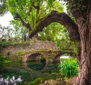 Arch bridge over lake against trees