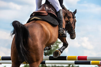 Horse jumping, equestrian sports, show jumping competition themed photograph.