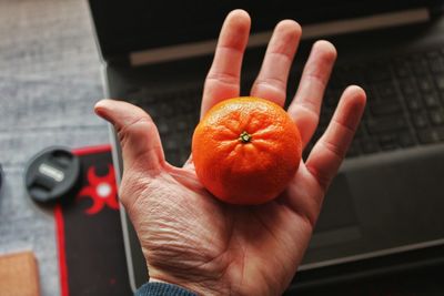 Cropped image of hand holding orange