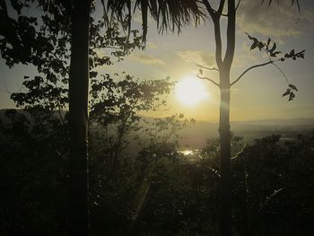 Scenic view of landscape at sunset