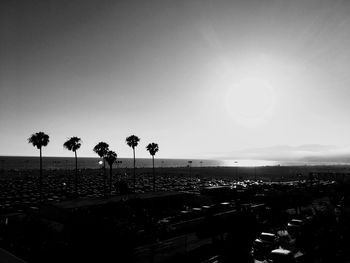 Palm trees on beach against clear sky