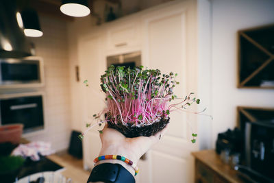 Midsection of woman holding microgreens at home