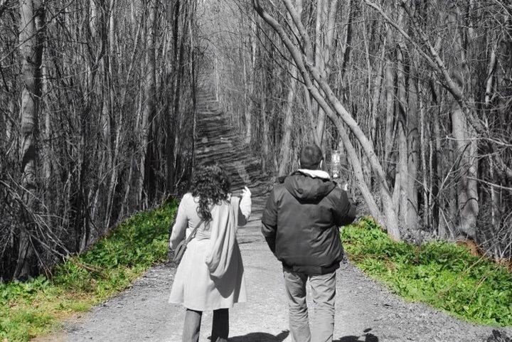 rear view, tree, lifestyles, the way forward, men, walking, leisure activity, full length, person, standing, casual clothing, footpath, forest, growth, tree trunk, nature, pathway, day