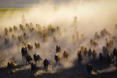 Group of people walking on foggy day