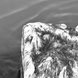 Close up of water