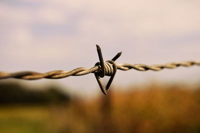 Close-up of barbed wire