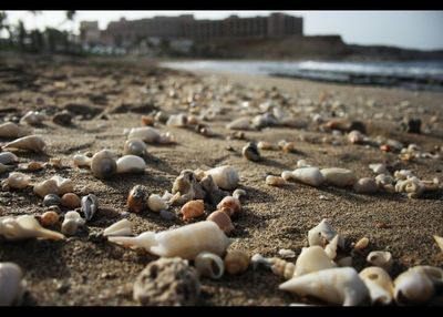 Close-up of pebbles on beach