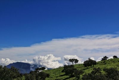 Scenic view of landscape against blue sky