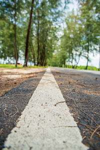 Surface level of road against trees
