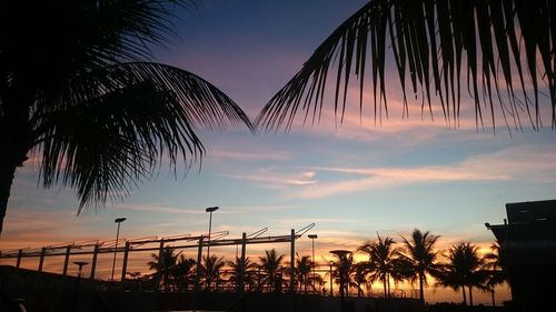 Silhouette palm trees against sky during sunset