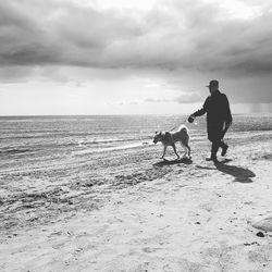 Two dogs on beach