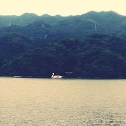 Scenic view of sea against mountain