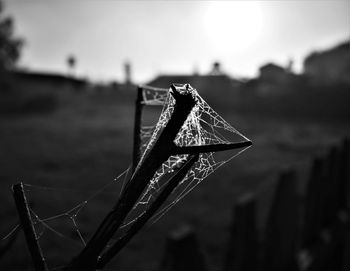 Close-up of wet spider web on metal against sky