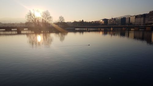 Swan in river against clear sky at sunset