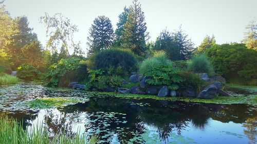 Low angle view of trees