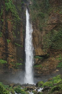 View of waterfall in forest