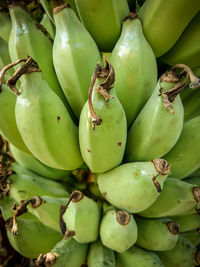 Full frame shot of fruits for sale in market