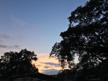 Low angle view of silhouette trees against sky