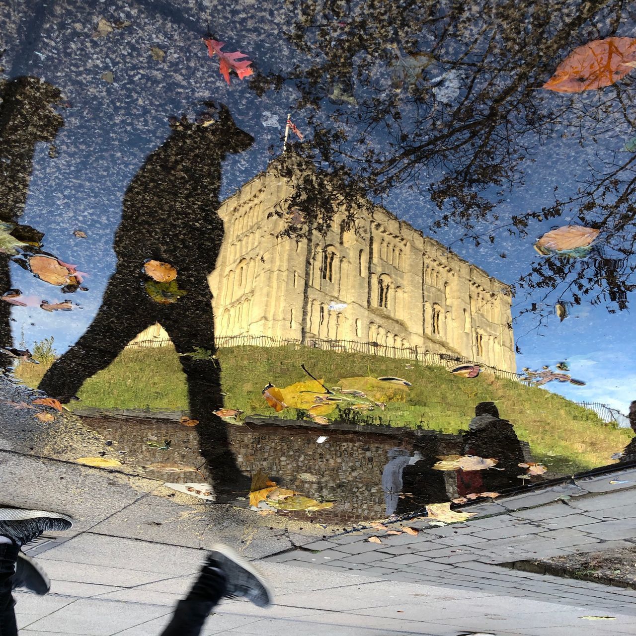 SHADOW OF MAN ON STREET BY BUILDING