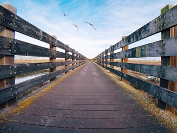 Birds flying over wooden footbridge