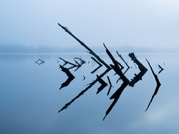 Silhouette of birds flying against sky