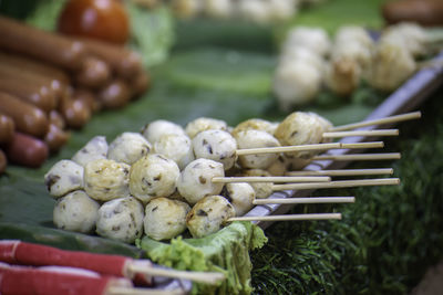 Close-up of vegetables on field