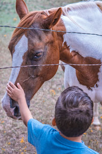 Rear view of boy stroking horse on field