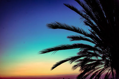 Low angle view of silhouette palm tree against blue sky