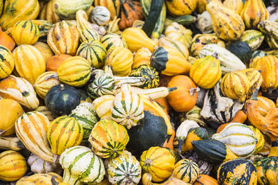 Full frame shot of pumpkins in market