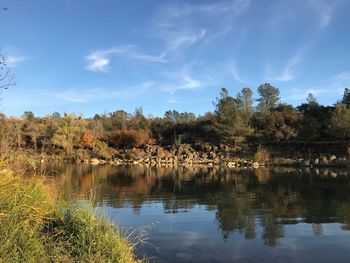 Scenic view of lake in forest against sky