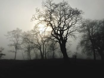 Silhouette bare trees on field against sky