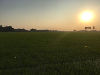 Scenic view of field against clear sky during sunset