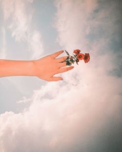 Cropped hand holding flower against sky