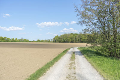 Empty road amidst trees against sky