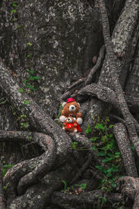 Close-up of toy on tree trunk