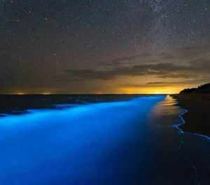 Scenic view of sea against sky at night